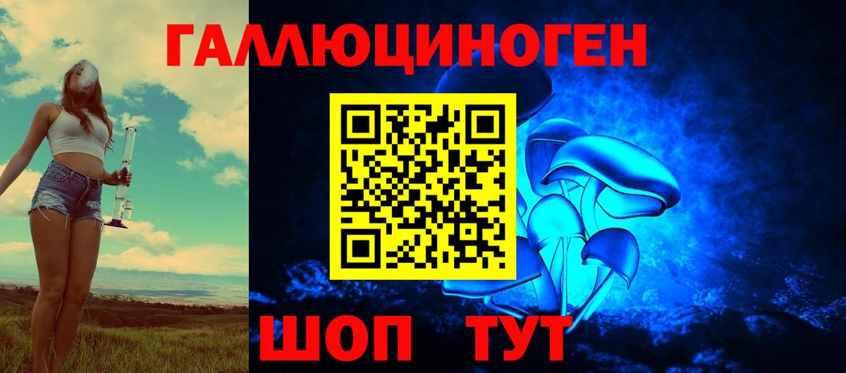 Галлюциногенные грибы GOLDEN TEACHER Амурск